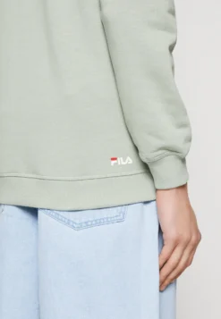 Fila Barumini - Sweat À Capuche - Iceberg Green -Magasin De Mode Et De Sport 010d839af7744bca910cc418c0a18fb3 scaled