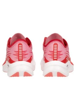 Fila Footwear Astatine Wmn - Chaussures De Running Stables - Geranium Pink Fiery Red -Magasin De Mode Et De Sport 76011ad5a31749a3b98b1a370ef3e27f scaled